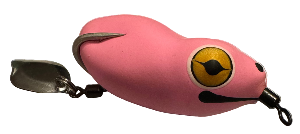 Pacman Frog