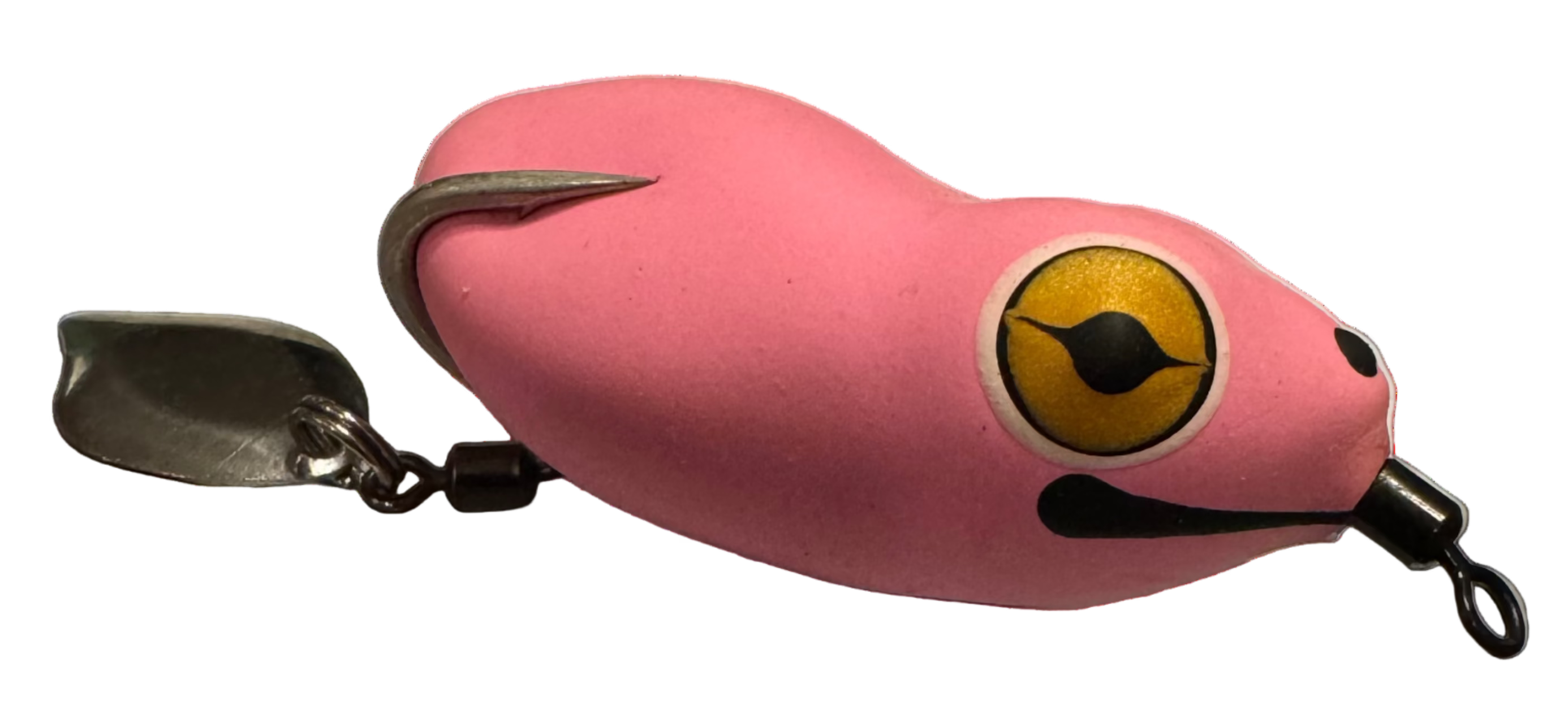 Pacman Frog
